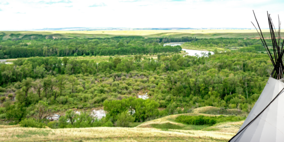 Call out for elders willing to teach conversational Cree